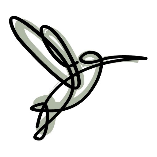 colibri académie des balais aide à domicile lyon